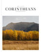Book of 1 & 2 Corinthians (SC,NLT) by Alabaster Co., 9781952357411