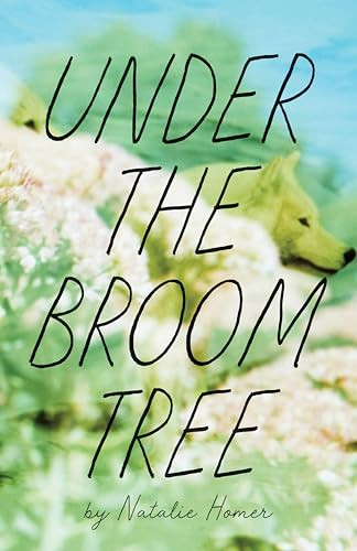 Under the Broom Tree by Natalie Homer, 9781938769993