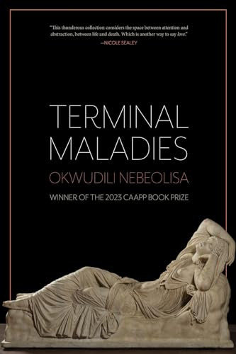 Terminal Maladies by Okwudili Nebeolisa, 9781637680940