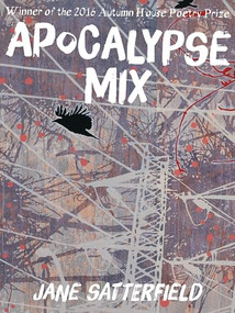 Apocalypse Mix by Jane Satterfield, 9781938769177