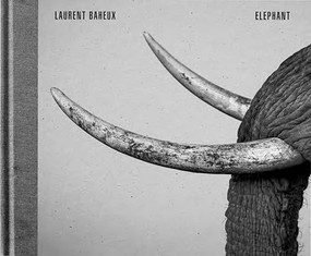 Elephant - 9782490952229 by Laurent BAHEUX, Romain GARY, 9782490952229