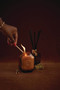 BOTANICA 2.8FLOZ AMBER GLASS DIFFUSER - LEATHER & SMOKE, BOTFD005