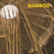 Bamboo by Simone Schleifer, 9783741914003