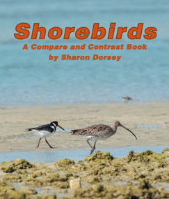 Shorebirds: A Compare and Contrast Book by Sharon Dorsey, 9781638173663