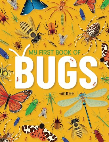 My First Book of Bugs by Dušan Lakićević, 9781915461162