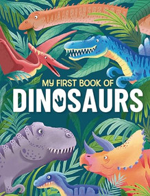 My First Book of Dinosaurs by Andrea Castro Naranjo, 9781915461155
