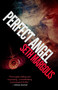 Perfect Angel by Seth Margolis, 9781682300961