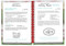 Foolproof Christmas by Gooseberry Patch, 9781620936085