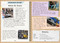 Phonic Books The Fact Files 5 (Alternative spellings, and Latin suffixes) by Phonic Books, 9798217125920