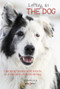 Letting in the dog (Opening hearts and minds to a deeper understanding) by Patricia Blocker, 9781787113053