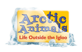 Arctic Animals: Life Outside the Igloo (Set) by , 9781627245258