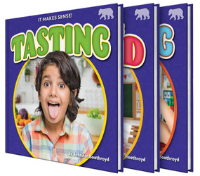 It Makes Sense! (Set) by Jennifer Boothroyd, 9798892324618