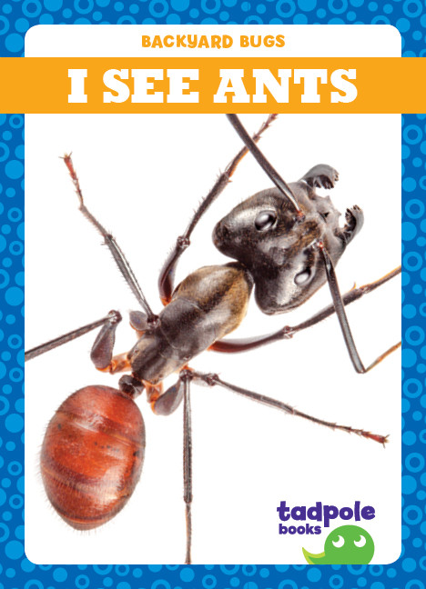 I See Ants - 9781641282161 by Genevieve Nilsen, 9781641282161