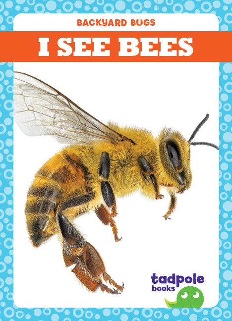 I See Bees by Genevieve Nilsen, 9781641282192