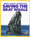 Saving the Gray Whale by Karen Latchana Kenney, Clayton Hansen, 9781641282826
