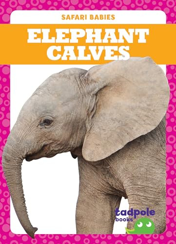 Elephant Calves - 9781641282345 by Genevieve Nilsen, Clayton Hansen, 9781641282345