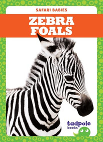 Zebra Foals by Genevieve Nilsen, Clayton Hansen, 9781641282499