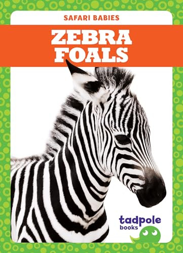Zebra Foals by Genevieve Nilsen, Clayton Hansen, 9781641282499