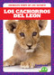 Los cachorros del león (Lion Cubs) (Spanish Edition) by Genevieve Nilsen, 9781641285452