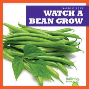 Watch a Bean Grow by Kirsten Chang, 9781641282550