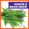 Watch a Bean Grow by Kirsten Chang, 9781641282550