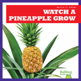 Watch a Pineapple Grow by Kirsten Chang, 9781641282581