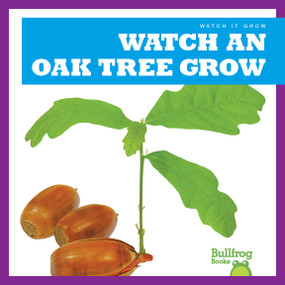 Watch an Oak Tree Grow by Kirsten Chang, 9781641282703