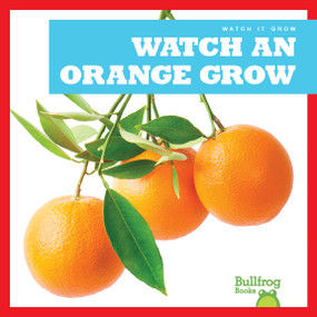 Watch an Orange Grow by Kirsten Chang, 9781641282734