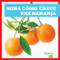 Mira cómo crece una naranja (Watch an Orange Grow) by Kirsten Chang, 9781641285179