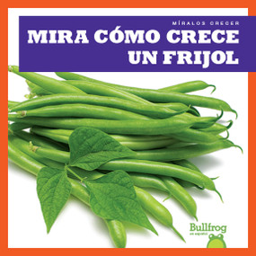 Mira cómo crece un frijol (Watch a Bean Grow) by Kirsten Chang, 9781641285216