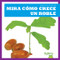 Mira cómo crece un roble (Watch an Oak Tree Grow) by Kirsten Chang, 9781641285230