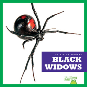 Black Widows - 9781624967887 by Jenna Lee Gleisner, 9781624967887