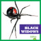 Black Widows - 9781624967887 by Jenna Lee Gleisner, 9781624967887