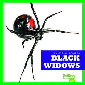 Black Widows - 9781624967887 by Jenna Lee Gleisner, 9781624967887