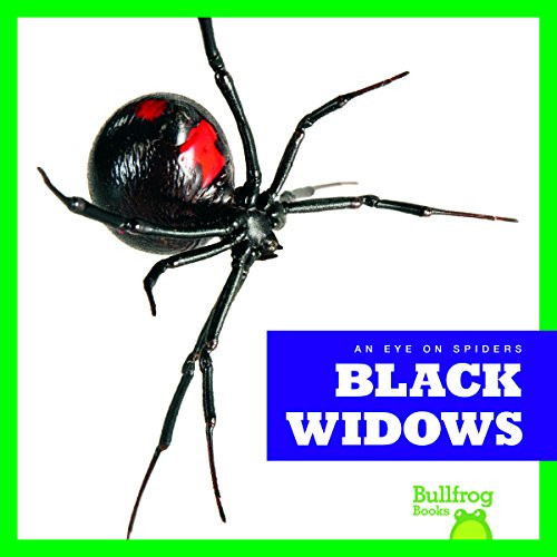 Black Widows - 9781624967887 by Jenna Lee Gleisner, 9781624967887