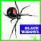 Black Widows - 9781624967887 by Jenna Lee Gleisner, 9781624967887