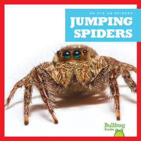 Jumping Spiders - 9781624967924 by Jenna Lee Gleisner, 9781624967924