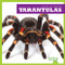 Tarantulas - 9781624967948 by Kristine Spanier, 9781624967948