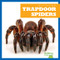 Trapdoor Spiders - 9781624967962 by Kristine Spanier, 9781624967962