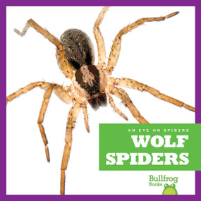 Wolf Spiders - 9781624968006 by Jenna Lee Gleisner, 9781624968006