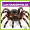Las tarántulas (Tarantulas) (Spanish Edition) by Kristine Spanier, 9781641280587