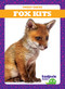 Fox Kits by Genevieve Nilsen, Dana Flemming, 9781624969614