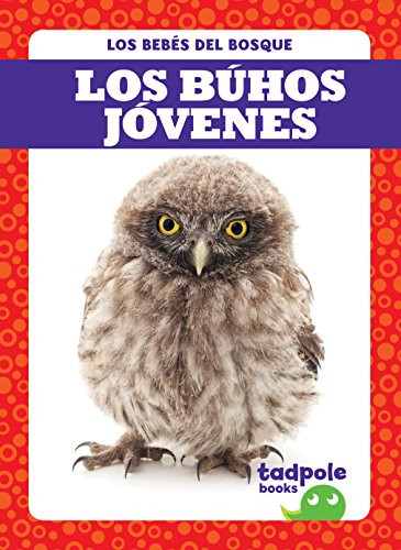 Los búhos jóvenes (Owlets) (Spanish Edition) by Genevieve Nilsen, 9781641280846