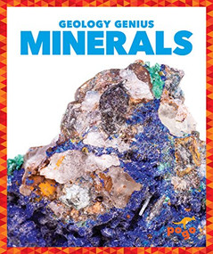 Minerals - 9781624968396 by Rebecca Pettiford, Dana Fleming, 9781624968396