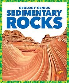 Sedimentary Rocks - 9781624968457 by Rebecca Pettiford, Dana Fleming, 9781624968457