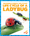 Life Cycle of a Ladybug - 9781624968181 by Karen Latchana Kenney, 9781624968181