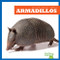 Armadillos - 9781624967481 by Cari Meister, 9781624967481