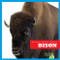 Bison - 9781624967504 by Cari Meister, 9781624967504