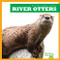River Otters - 9781624967603 by Cari Meister, 9781624967603