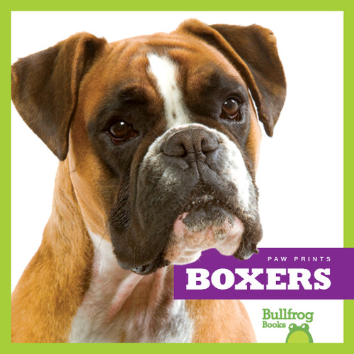 Boxers - 9781624967665 by Nadia Higgins, 9781624967665